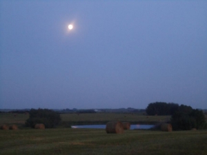 Full Moon Over The Hay Field  