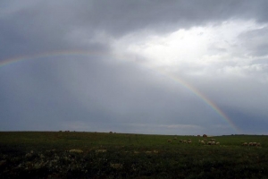 Rainbow Over The Sheep Pasture 