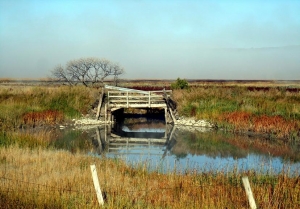 Old Bridge In Qu'Appelle Valley 