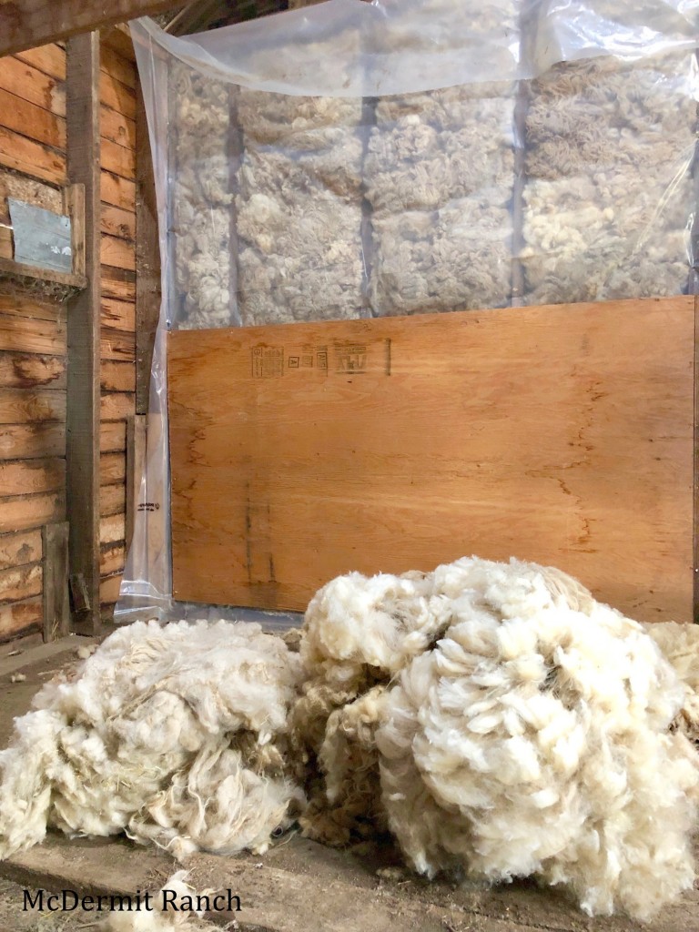 We are using raw, unwashed wool to insulate a little old 16 x 30 barn so it can be used for a chicken house.
Along with being fire and pest resistant insulation, wool is such a great renewable, environmentally friendly product that can be used for so many things!
"Sheep wool is a natural insulator because it has a crimped nature which traps air in millions of tiny pockets. Sheep wool insulation has an R-value of approximately 3.5 to 3.8 per inch of material thickness, 0.3 to 0.6 points higher than fiberglass, cellulose, or mineral wool." - Healthy House Institute